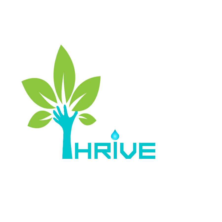 Logo Design by kamaly for Pacific Street Enterprises Pty Ltd | Design #4437996