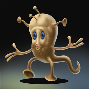 Illustration Design by arif