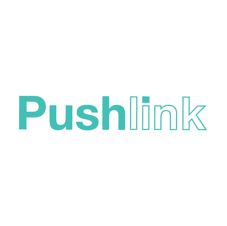 Logo Design by Design Possibilities for PushLink | Design #4487637