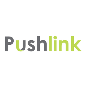 Logo Design by Design Possibilities for PushLink | Design: #4487768