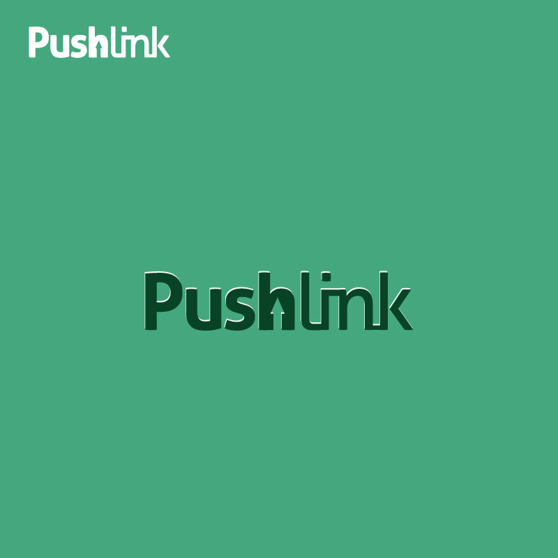 Logo Design by Logoziner for PushLink | Design #4459491