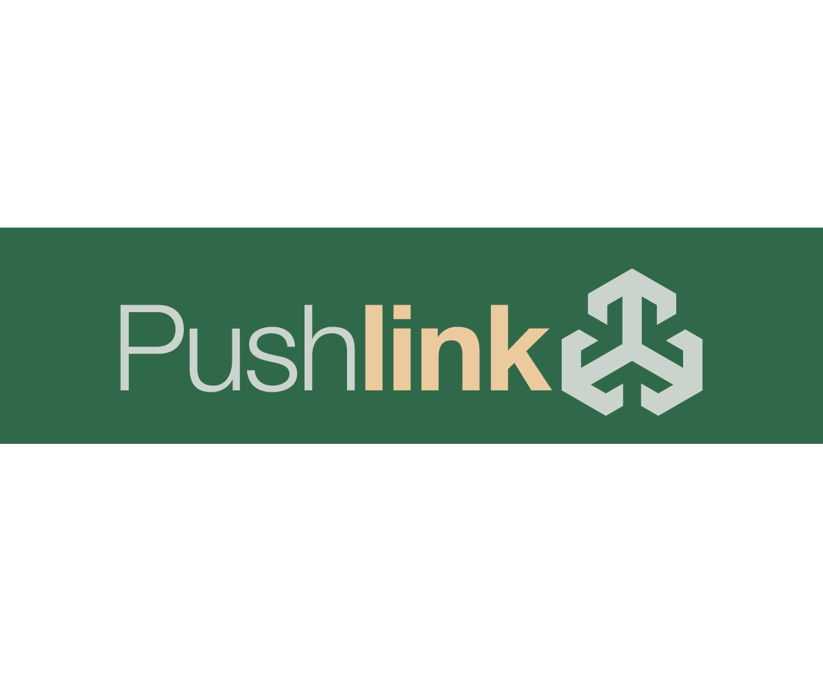 Logo-Design von vectorG für PushLink | Design #4441239