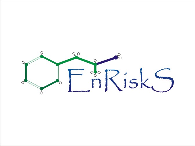Logo Design by alexandru gutu for EnRiskS | Design #1254229
