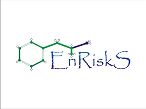 Logo Design by alexandru gutu for EnRiskS | Design: #1254229