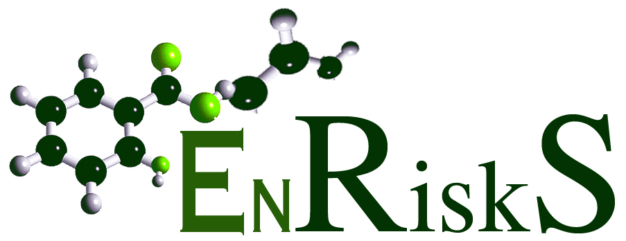 Diseño de Logo por parul para EnRiskS | Diseño #1253027