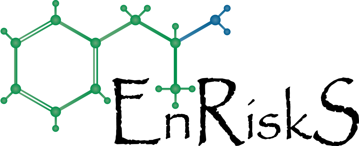 Logo Design by PeterLG for EnRiskS | Design #1254594