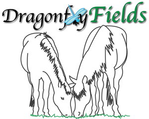 Logo Design by MIki62