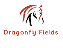 Logo Design by reem662001