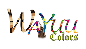 Logo Design by Traverse Visual Studio