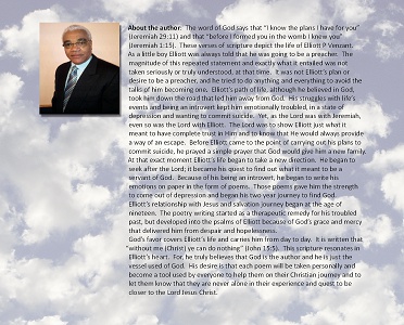 Book Cover Design by sdrum for Direct Print Solutio | Design #1254506