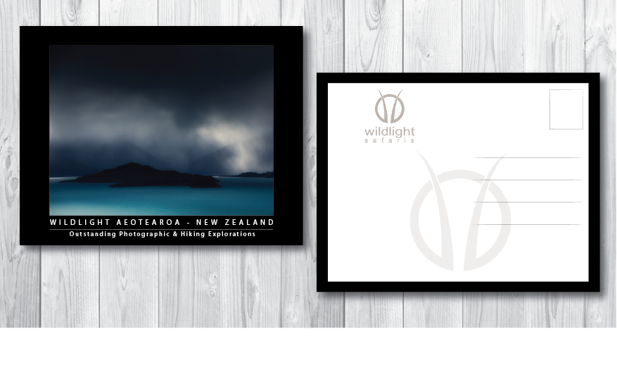 Diseño de Postal por alex989 para Wildlightsafaris | Diseño #4426591