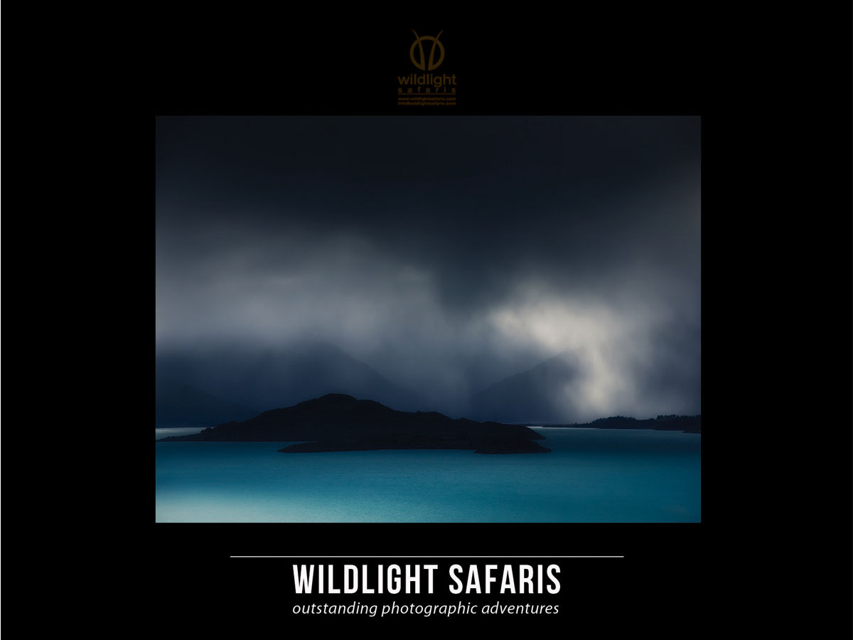 Postkarten-Design von xdenku für Wildlightsafaris | Design #4411613