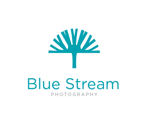 Logo Design by themadfox