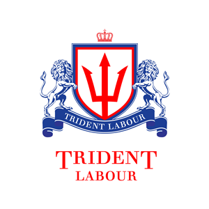Design de Logo par Enea pour Trident Labour | Design : #4410595