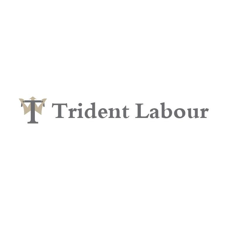 Logo-Design von Design Possibilities für Trident Labour | Design #4473084