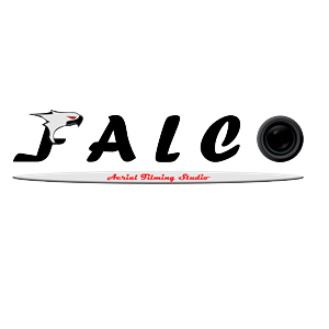 Logo Design by Didy