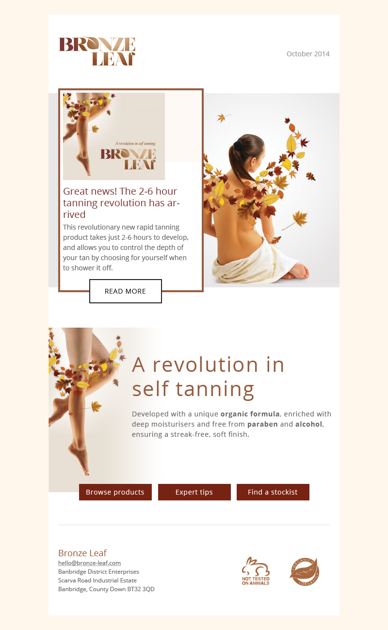 Newsletter Design by slapBackChewLater for this project | Design #4431117