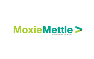 Logo Design by Bravia