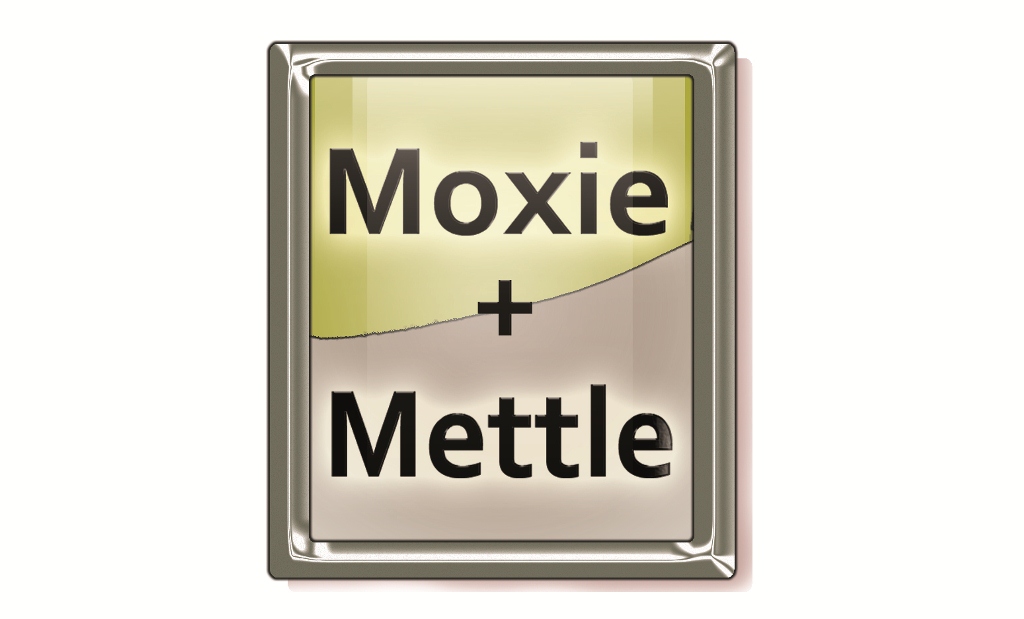 Logo Design by Traverse Visual Studio for this project | Design #4425438