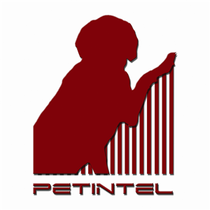 Logo Design by Northstat Corporation