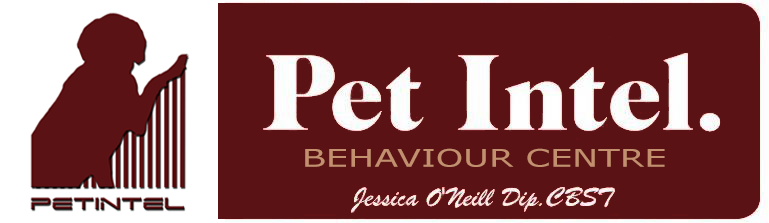 Diseño de Logo por Northstat Corporation para PetWORX | Diseño #4413018