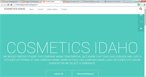 Web Design by Tricorp Web Designs