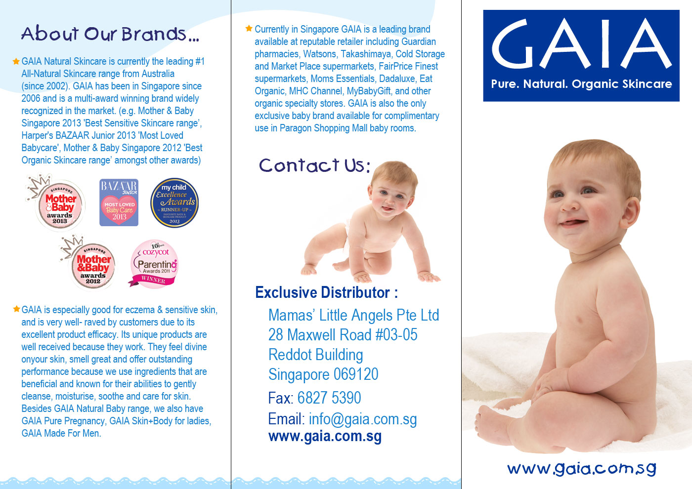 Brochure Design by Parul for this project | Design #4448212
