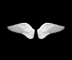Angel wings