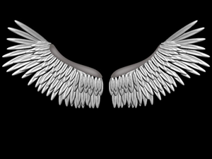 3D Design by TS computer graphic