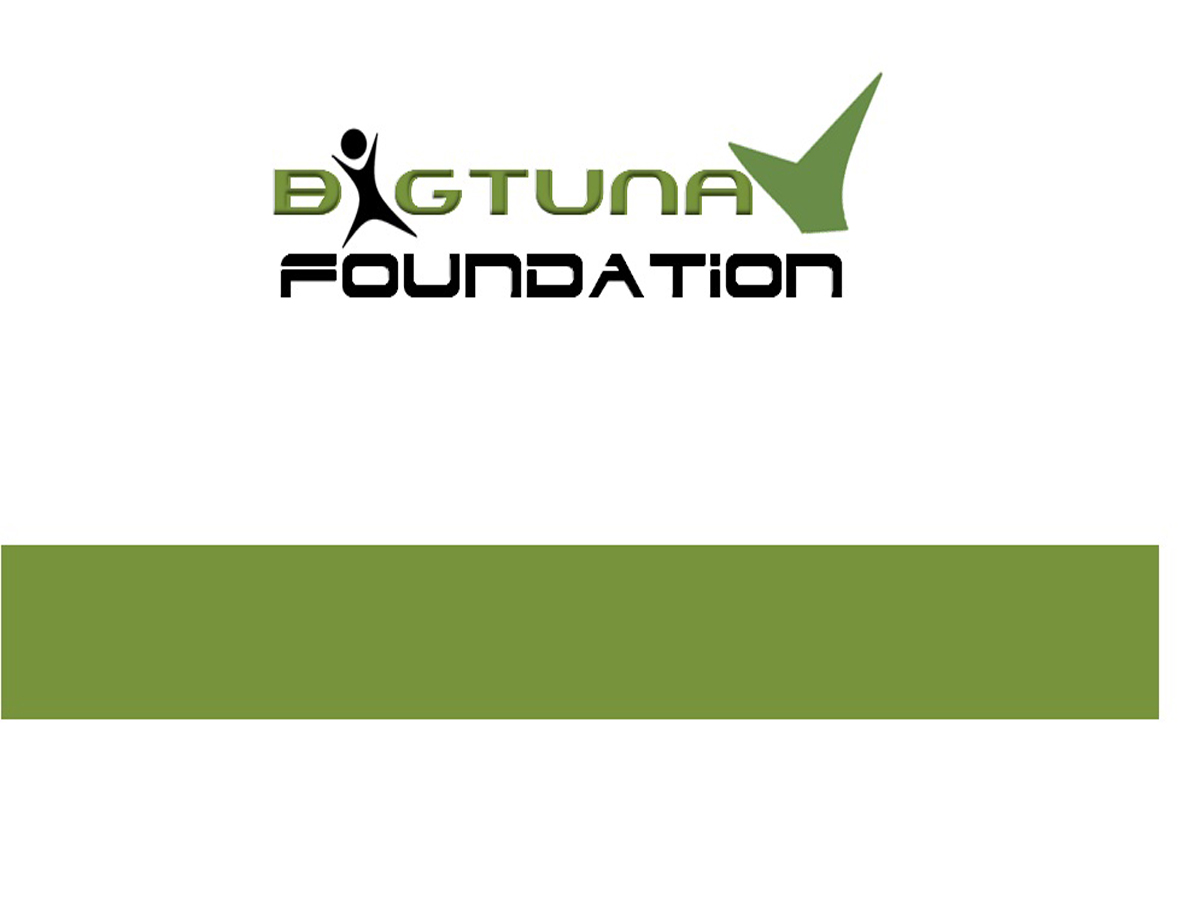 Diseño de Logo por shaik jeelani para este proyecto | Diseño #4472995