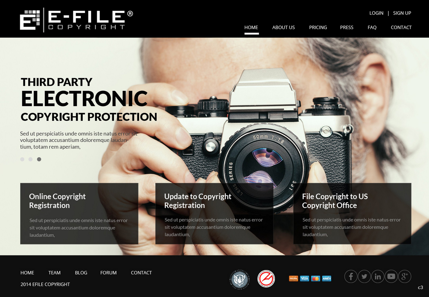 Web Design by pb for Bedrock Online Enterprises, LLC DBA e-File Copyright | Design #4450705