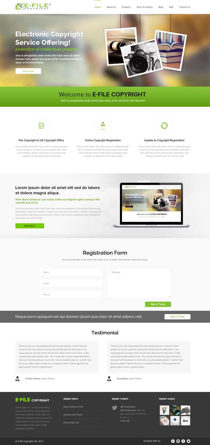 Web Design by OM for Bedrock Online Enterprises, LLC DBA e-File Copyright | Design #4469875