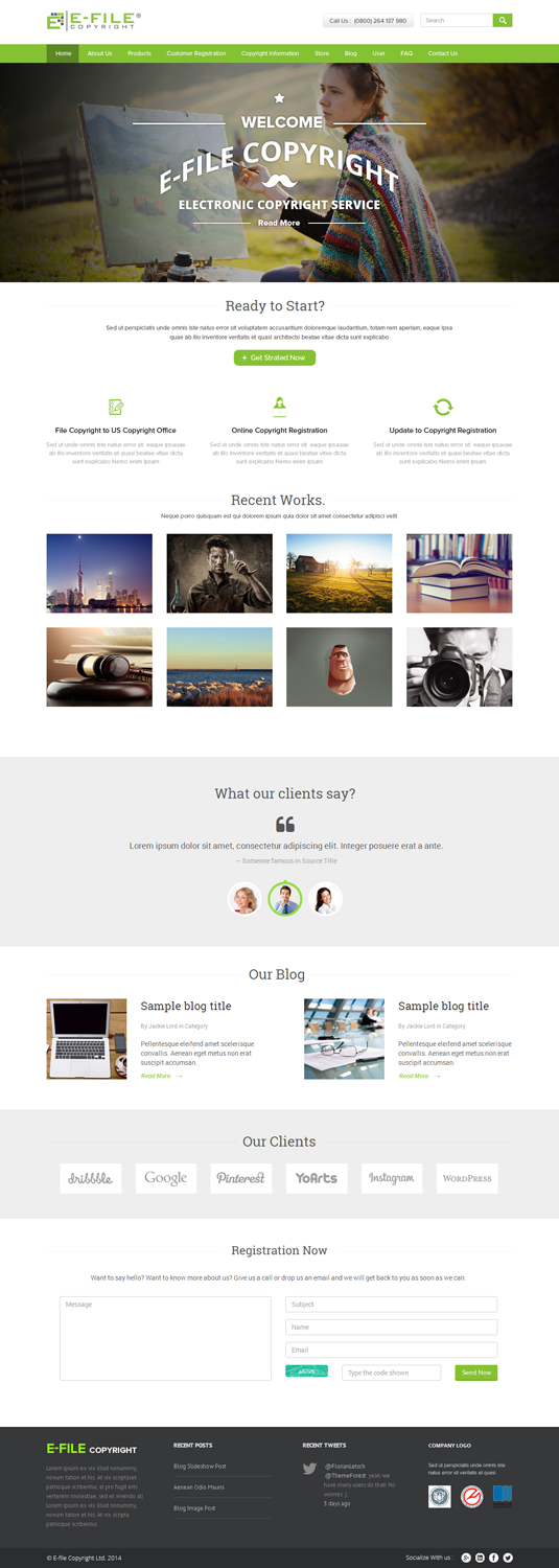 Web Design par OM pour Bedrock Online Enterprises, LLC DBA e-File Copyright | Design #4474181