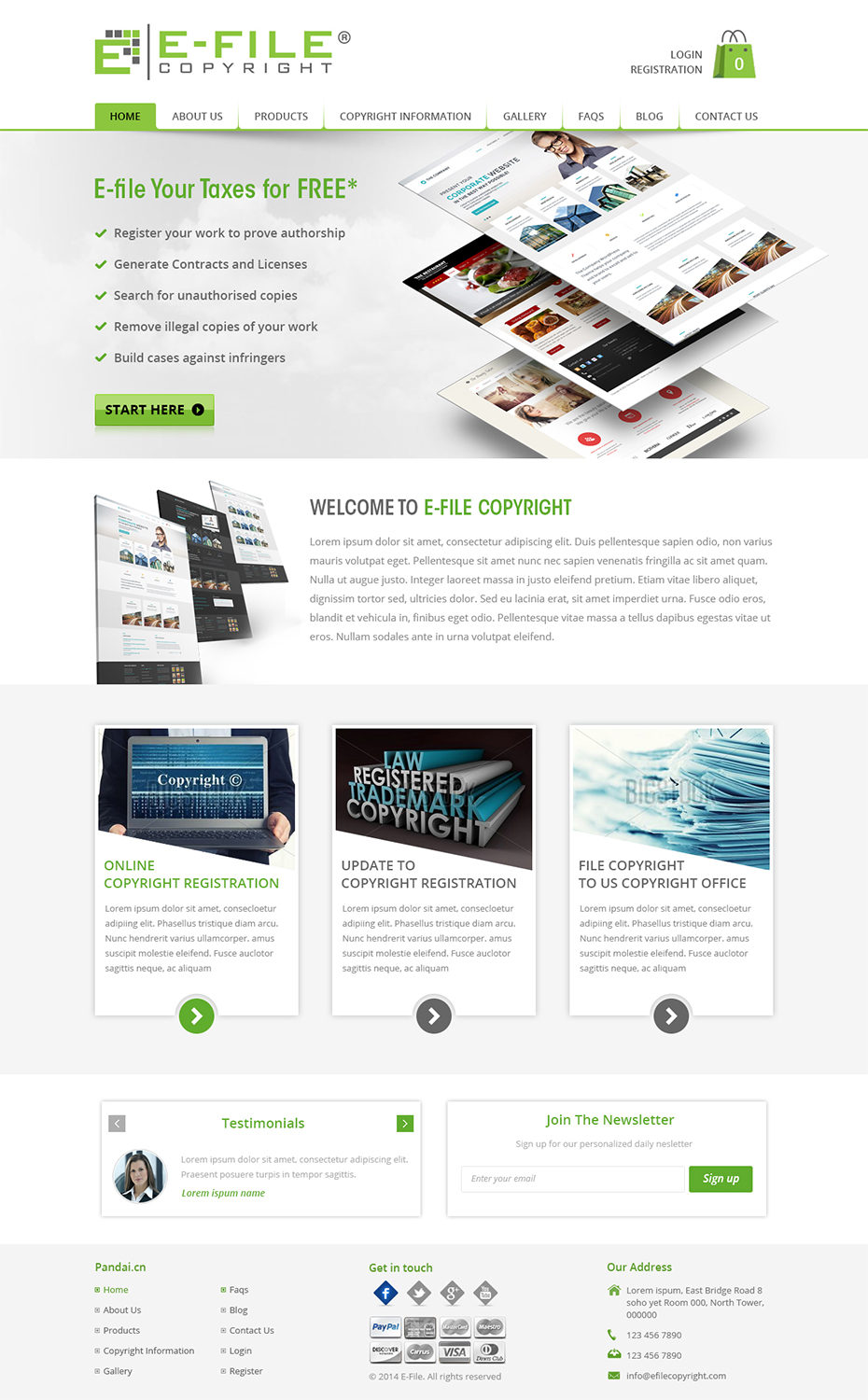 Web Design by Creative Usha for Bedrock Online Enterprises, LLC DBA e-File Copyright | Design #4482809