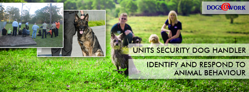 Facebook Design by Ushan sampath for QUEENSLAND SECURITY SOLUTIONS | Design #4413161