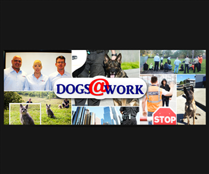 Facebook-Design von CreativeTrick für QUEENSLAND SECURITY SOLUTIONS | Design #4417574