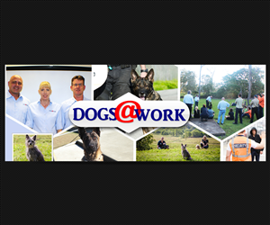 Facebook Design by CreativeTrick for QUEENSLAND SECURITY SOLUTIONS | Design: #4417577