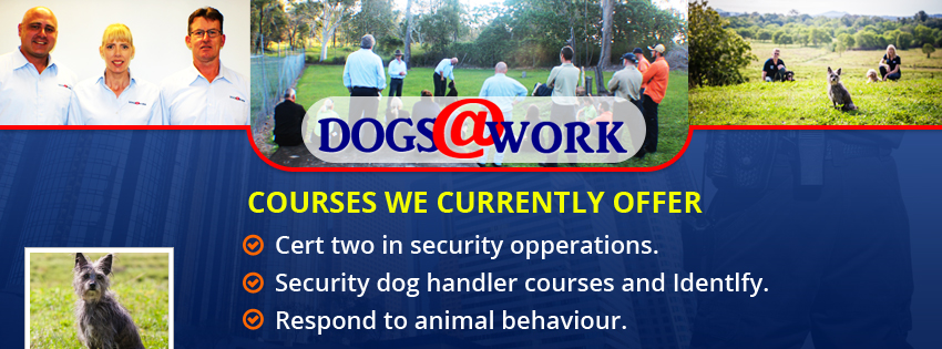 Facebook Design by CreativeTrick for QUEENSLAND SECURITY SOLUTIONS | Design #4417800