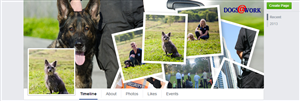 Facebook Design by TravelFreak for QUEENSLAND SECURITY SOLUTIONS | Design: #4416562