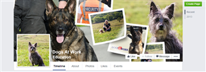 Facebook Design by TravelFreak for QUEENSLAND SECURITY SOLUTIONS | Design: #4422088