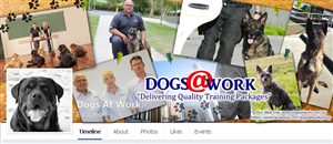 Facebook-Design von NILDesigns für QUEENSLAND SECURITY SOLUTIONS | Design #4416970