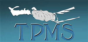 Design de Logo par Ghostlytri0 pour Tritz Professional Management Services | Design #1272931