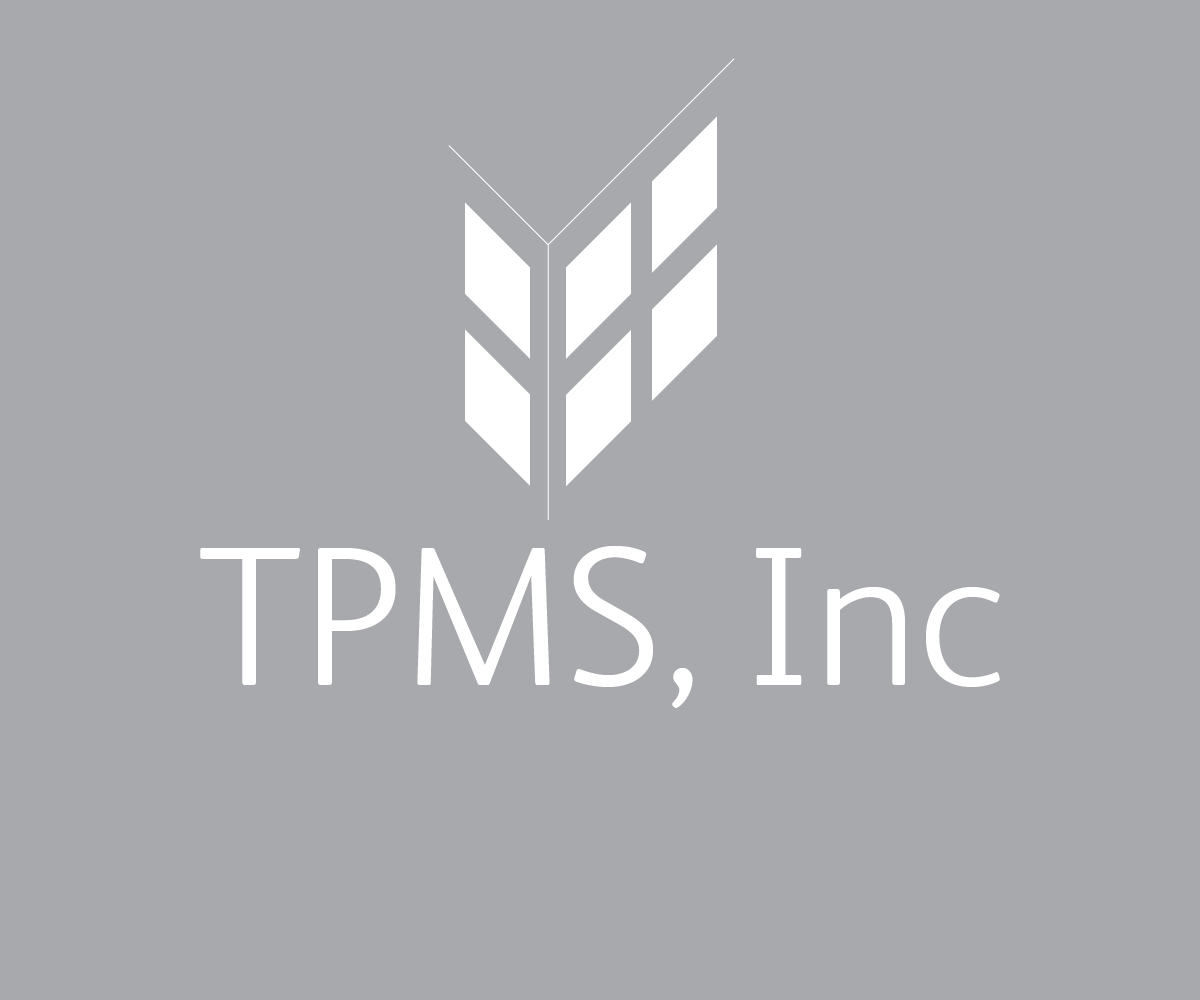 Diseño de Logo por GN para Tritz Professional Management Services | Diseño #1276401