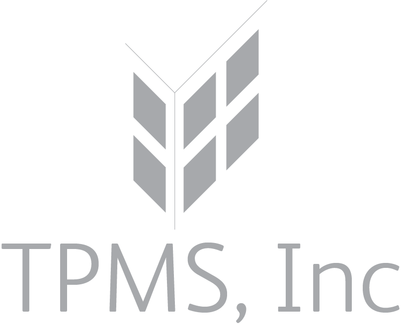 Diseño de Logo por GN para Tritz Professional Management Services | Diseño #1276403