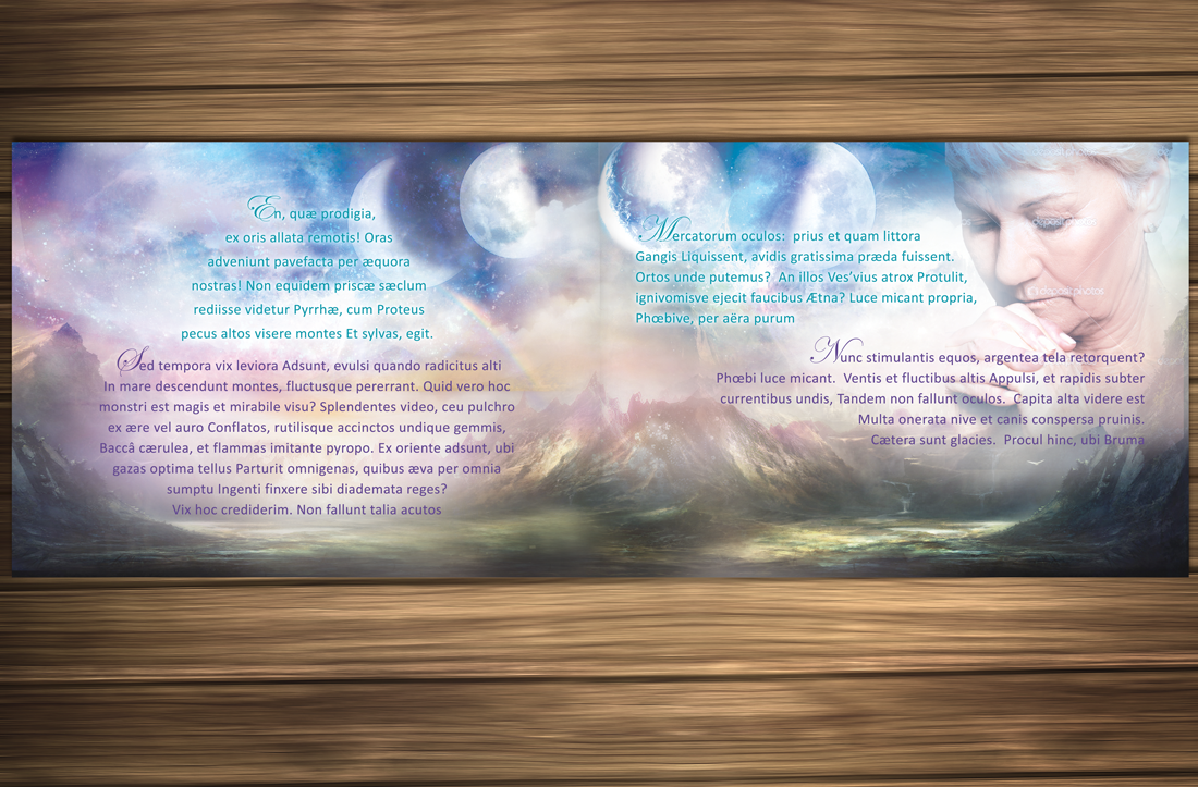 Diseño de portada de libro por Vixer para este proyecto | Diseño #4523491