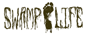 Logo Design by jeremygable1