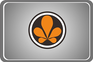 Logo Design by anggun