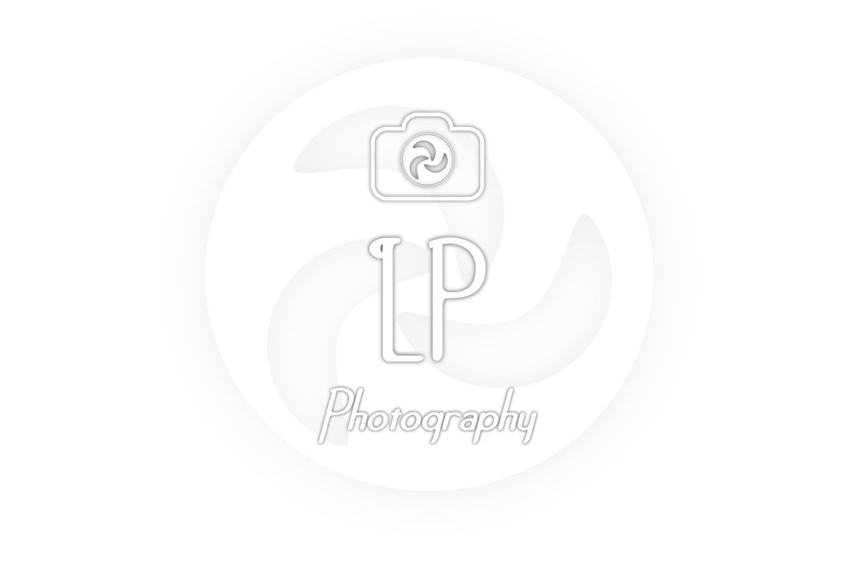 Logo Design by dahiyadarpan for this project | Design #4484948