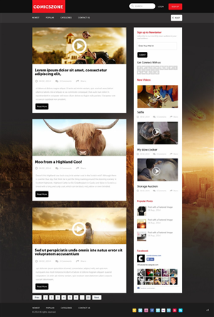 Web Design by pb for this project | Design: #4439363