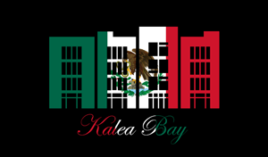 Logo Design by rizvi.taha153